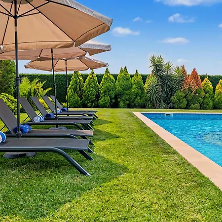 Rocha's House -